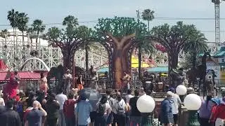 DCA LION KING TYPE PERFORMERS FOR FOOD AND WINE 