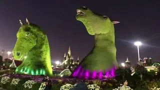 DUBAI MIRACLE GARDEN 2020  ( NIGHT TIME TOUR  )