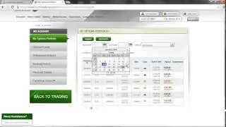 Binary Options Trading Strategy 2014 | Earn $1,389 A Day Using A Unique Method