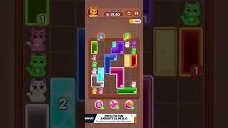 CATDOM COLOR HOLE Level 155