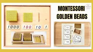 PLACE VALUE CONCEPTS WITH MONTESSORI GOLDEN BEADS