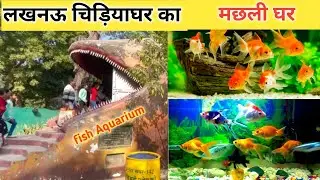 लखनऊ का मछली घर।Lucknow machli ghar।machli ghar lucknow।#lucknowchidiyaghar