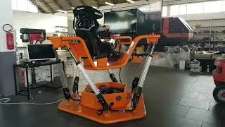 Rally Simulator