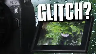 CANON SCREEN GLITCH? Is it just me or does this BUG you too?