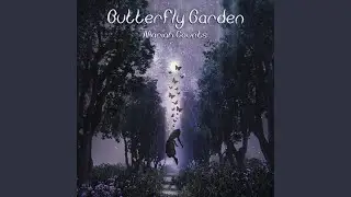 Butterfly Garden