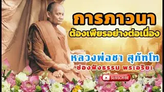 หลวงพ่อชา สุภัทโท l การภาวนาต้องเพียรอย่างต่อเนื่อง