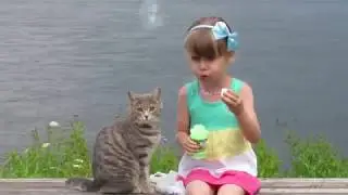 Life Animal прибор для лечения животных от паразитов