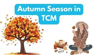 TCM Wisdom for Autumn: Lung Health, Letting Go & Renewal