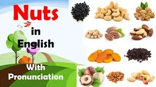Nuts in English with Pronunciation | English Vocabulary🥜