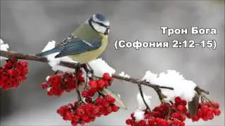 04.12.2015 Порочность и святость (Софония 3:1&ndash;8)