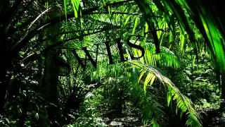 Kings Dead - Kryptonite Sanity House ft. Dani Ummel (welcome on my chanel)
