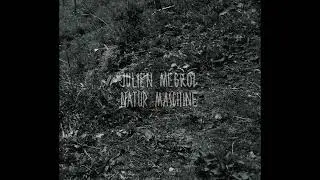 Julien Mégroz - 5 fades (by Fritz Hauser)