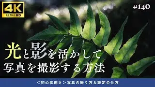 #140 [Для начинающих фотографов] 5 способов фотографировать со светом и тенью!