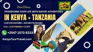 Best Tanzania Safari Tours for Wildlife Photography  | Kenya Tour Travel