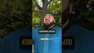 Распространяйте ислам #religion #религия #аят