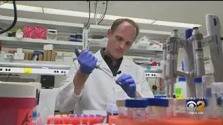 STEAM: Meet A Gene Therapist