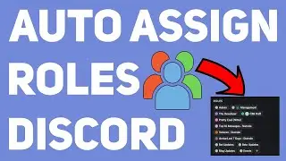 How to Assign and Remove Roles Automatically Based on Activity in Discord