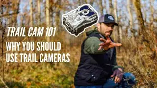 Trail Camera 101: Why YOU Should Have Trail Cameras Collecting Data Now!
