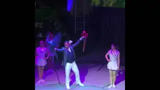 Alessio Fochesato - parrot, tucan act  - Főv&aacute;rosi Nagycirkusz - Budapest 2025 - Splash