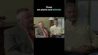 The Pine Barrens NEEDS Fire | LIPBS