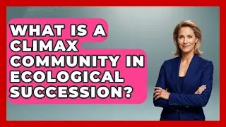 What Is A Climax Community In Ecological Succession? - Explaining Ecology