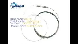 Fiber Optic PLC Splitter 1x6 Bare Fiber G657A1