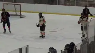 The phatom high stick -  refs blew this one