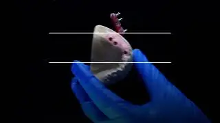 VERIFICATION JIG | CAD CAM Dental Lab.