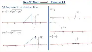 How to represent Numbers on Number line? |Exercise 1.1 | Question 2| New Syllabus | PTB| STEM Club