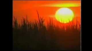 Heat Stroke Symptoms: and Treatment