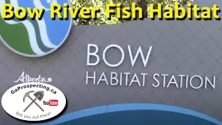 Bow River Fish Habitat & Harvie Heights Passage