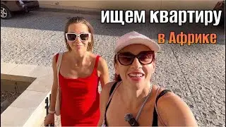 6 ЛЕТ ЖИЗНИ В ЕГИПТЕ/ ищем квартиру в Хургаде / немного юмора