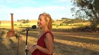 Poor Man's Whiskey Presents: Whiskey Family Band - July Sessions