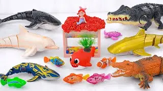 [Toy asmr]RC Shark & Crocodile & Dolphin &Baby Shark & Whale &Aquarium ASMR Satisfying with Unboxing