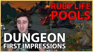 Ruby Life Pools: Dragonflight Dungeon First Impressions