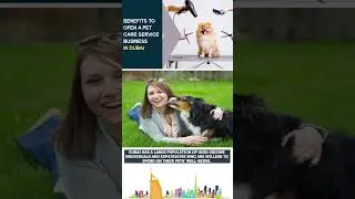 Pet Care Service || Open a Pet Care Service Business in Dubai || Benefits #shorts #uae #uaebusiness