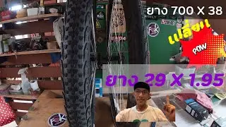 เปลี่ยนยางจักรยาน 700 X 38 เป็น ยาง 29 X 1.95 ได้จริงหรือ #ปั่นทุกที่ที่มีทาง #จักรยานทัวร์ริ่ง