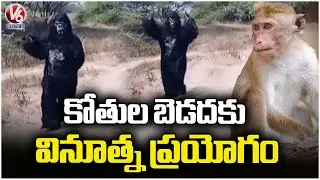 Creative Strategy Launched to Curb Monkey Menace in Mūdapalli | V6 News