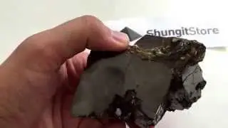 Big Crystal ELIT Shungite 243 Grams