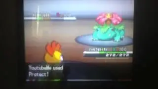 Pokemon Black / White Wi-Fi Battle #9: Custom Scrafty is very Dangerous