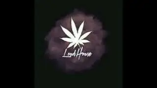 Young Leek - 