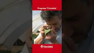 Las fresas de Cuna de Platero protagonistas en el programa 