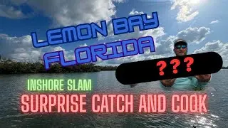 Surprise Catch and Cook | Lemon Bay Florida Inshore Slam