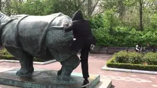 Uptoprec wild Rhino climb!!!!
