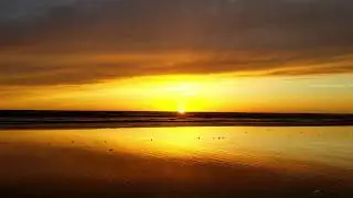 Leavv - Home