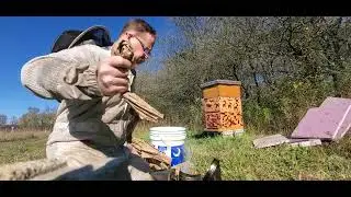 2024/10/27  Michigan Bee Hive Check