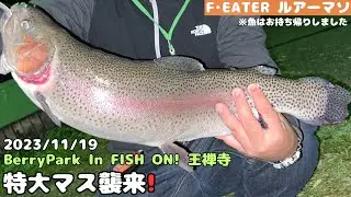 [フィッシュオン王禅寺]特大マス放流開始のジロー池ナイター釣行[エリアトラウト]