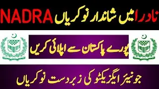 NADRA Jobs 2024 | How to Apply Online for NADRA Jobs | Govt Jobs 2024 | Government Jobs 2024 #nadra