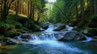Natural River Ambience for Insomnia Help and Deep, Restorative Sleep