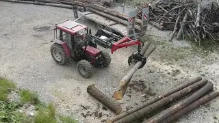 Baumstämme laden auf Tieflader mit Case 940 und Forstzange. Holz wird im Sägewerk weiterverarbeitet